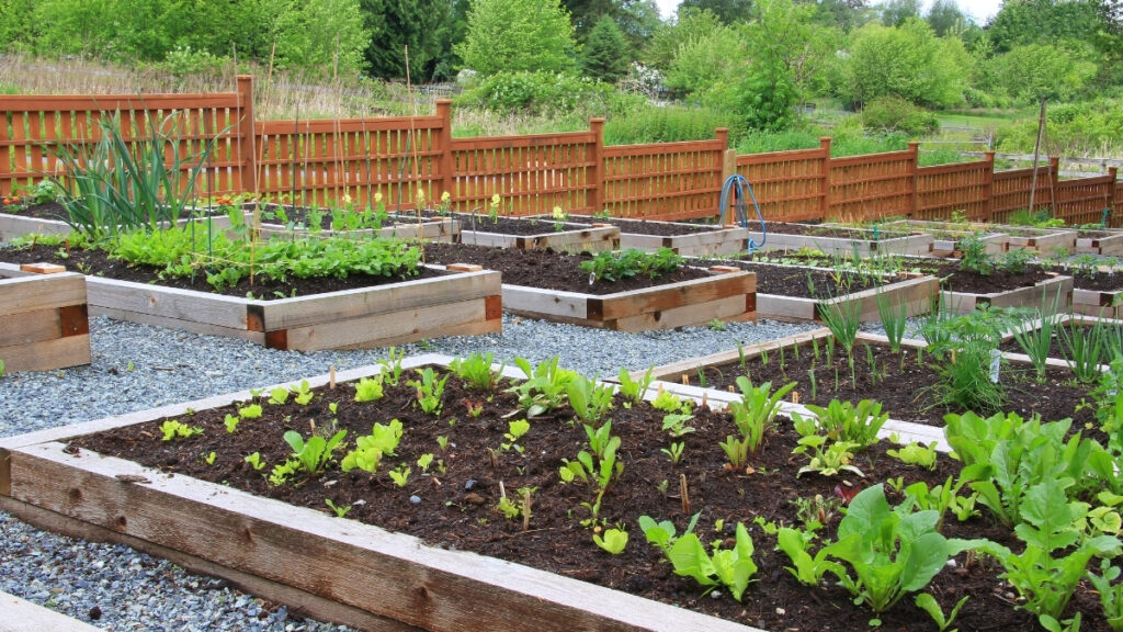 The Perfect Garden Layout: Design Tips and Planning Tools for May Planting