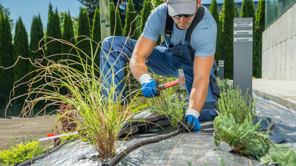 Eco-Friendly Landscaping: Designs That Save Water and Attract Wildlife