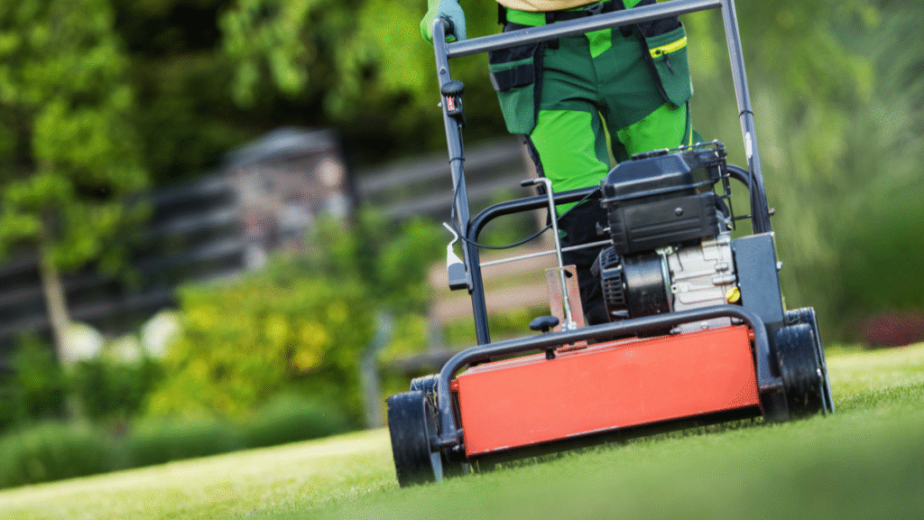 Garden Planning with Lawn Care Strategies This October?